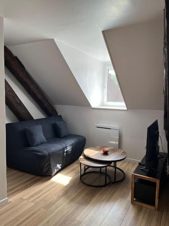 Appartement De La Fontaine A La Tour Du Pin Hyper Centre Parking Prive 외부 사진